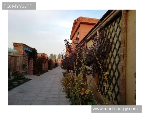 特克斯足球的崛起与发展探索球队文化与社区影响力的深度结合