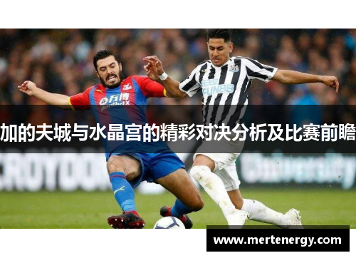 加的夫城与水晶宫的精彩对决分析及比赛前瞻