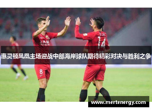 惠灵顿凤凰主场迎战中部海岸球队期待精彩对决与胜利之争
