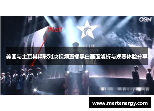 美国与土耳其精彩对决视频直播黑白画面解析与观赛体验分享