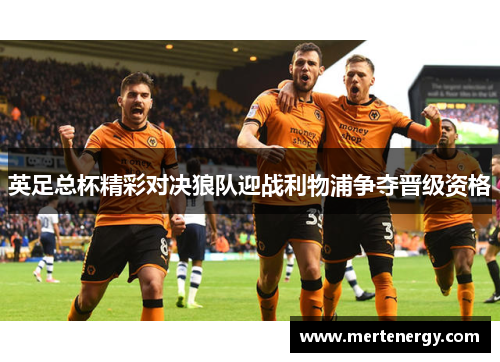 英足总杯精彩对决狼队迎战利物浦争夺晋级资格