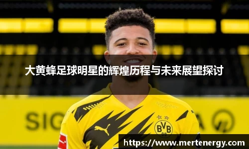 大黄蜂足球明星的辉煌历程与未来展望探讨