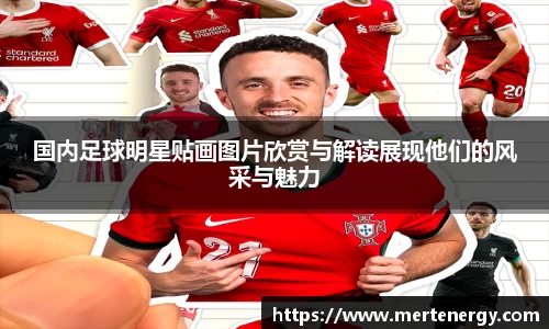 国内足球明星贴画图片欣赏与解读展现他们的风采与魅力