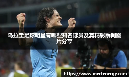 MK体育官方网站